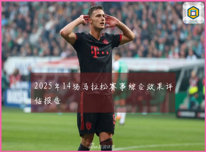 2025年14场马拉松赛事综合效果评估报告