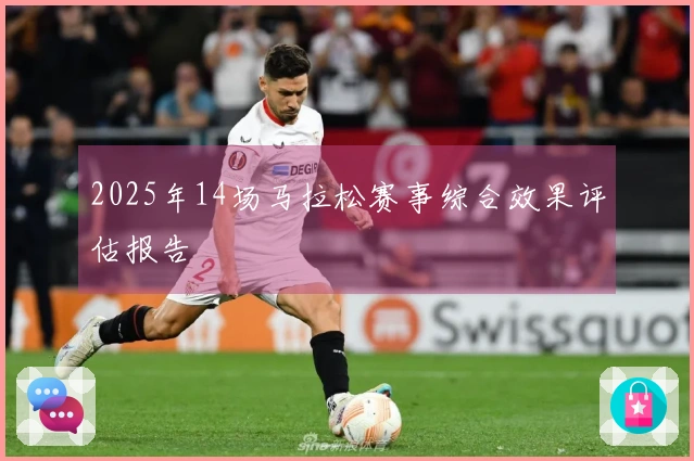 2025年14场马拉松赛事综合效果评估报告