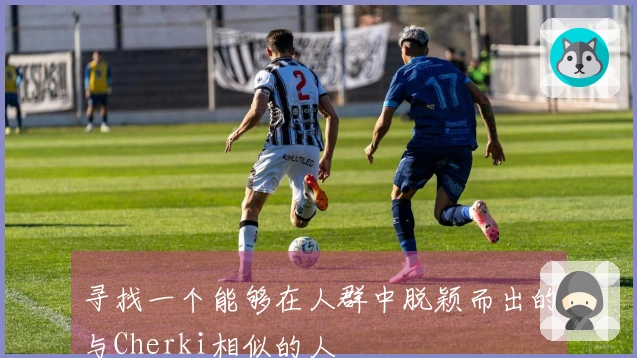 寻找一个能够在人群中脱颖而出的与Cherki相似的人