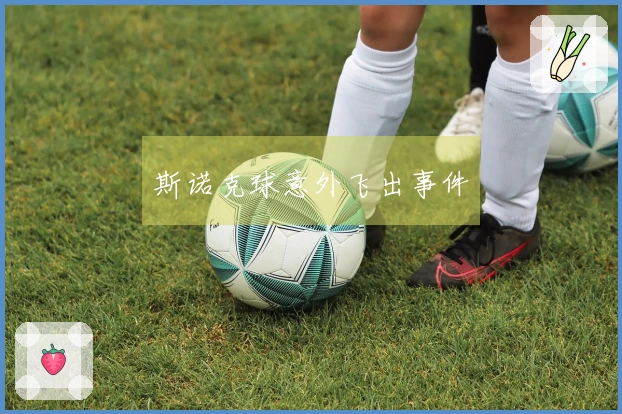斯诺克球意外飞出事件